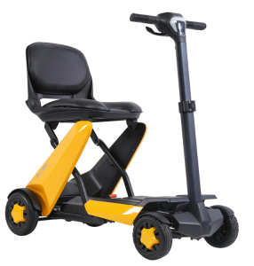 Wasp Folding Scooter